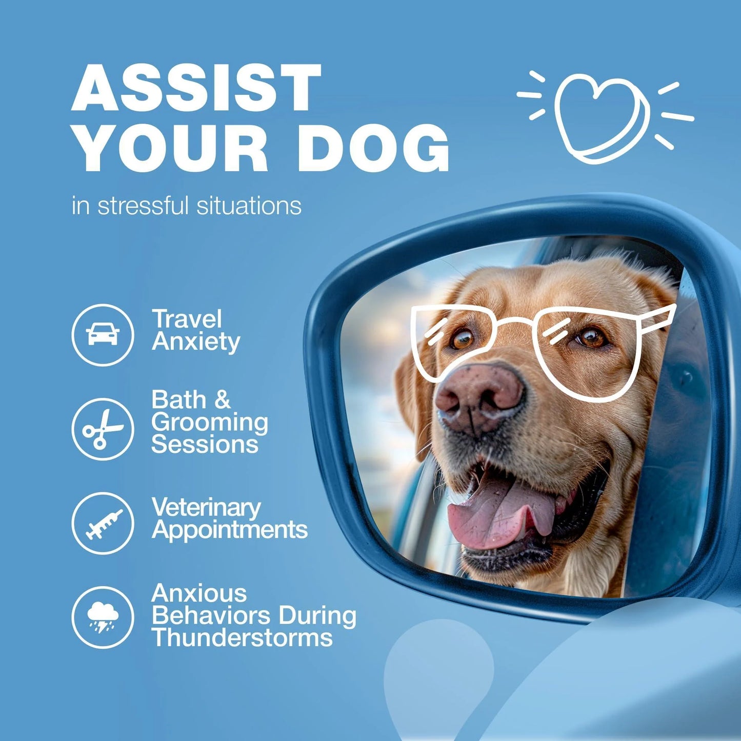 Calming Chews for Dogs Anxiety Dog Calming Treats with Melatonin Valerian Root